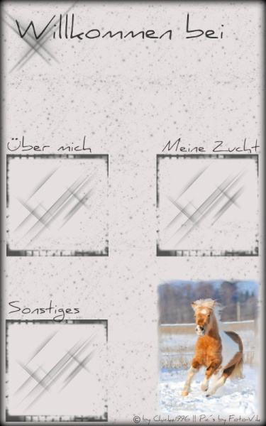 Layout Pony im Schnee 3 Scrollis Download?action=showthumb&id=1